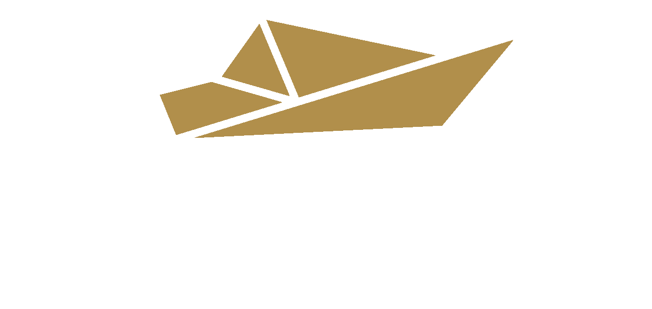 Acatus logo (color)